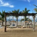 a beach covered in lots of palm trees